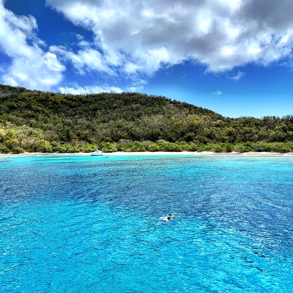 Meet your Posher, Carla